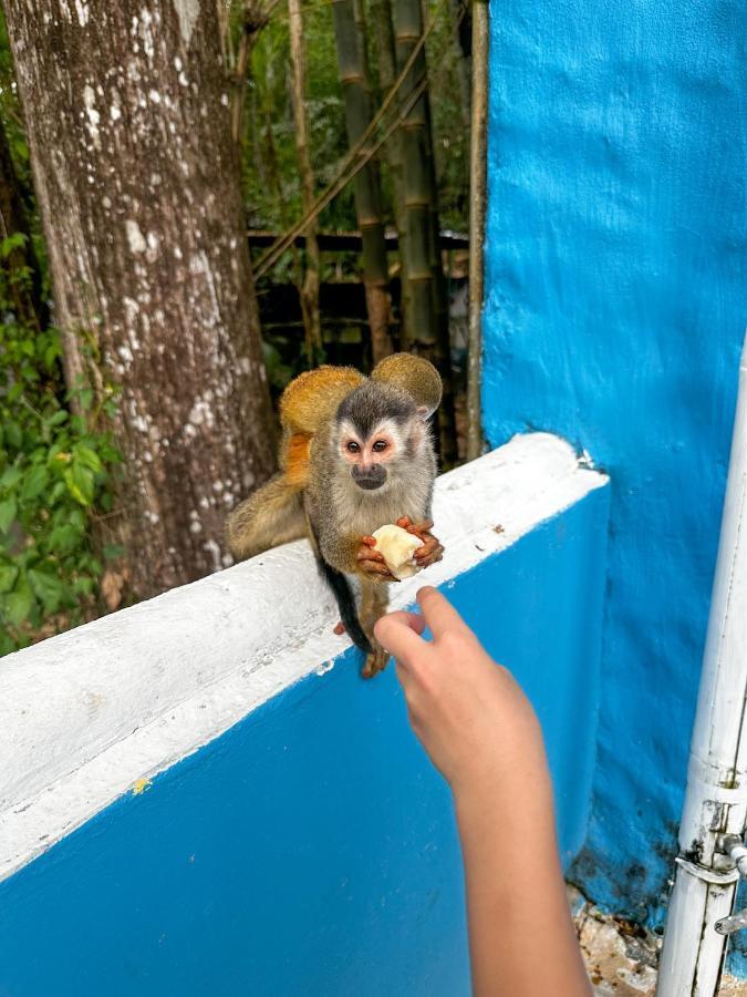 Hospedaje Colibri Manuel Antonio Zewnętrze zdjęcie