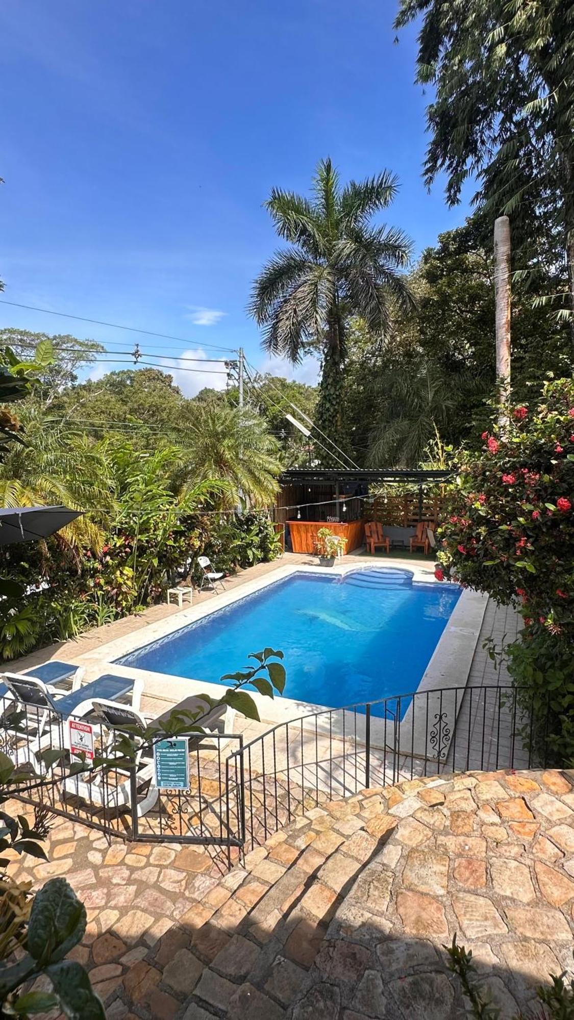 Hospedaje Colibri Manuel Antonio Zewnętrze zdjęcie